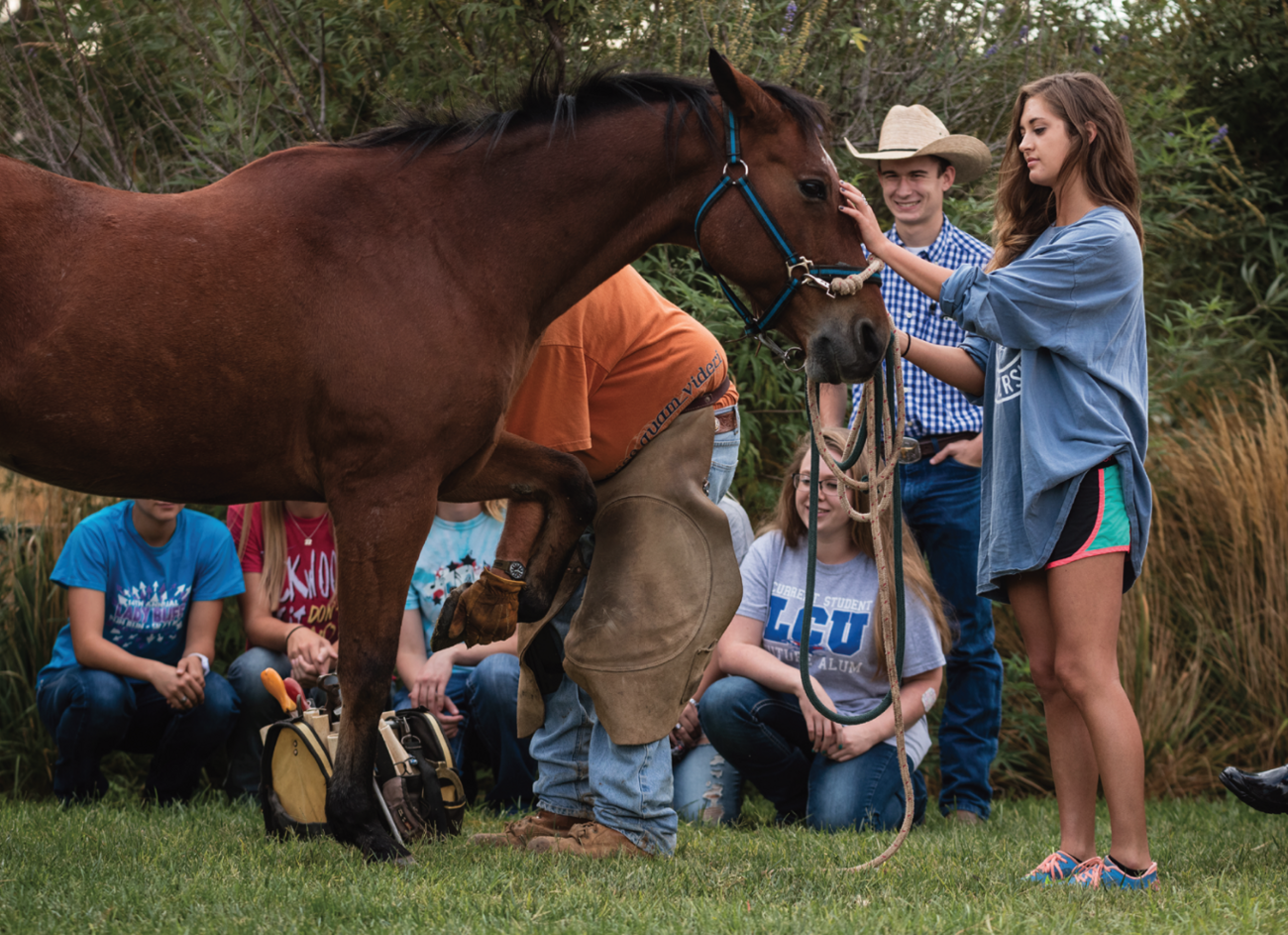 LCU Ag students working with a horse