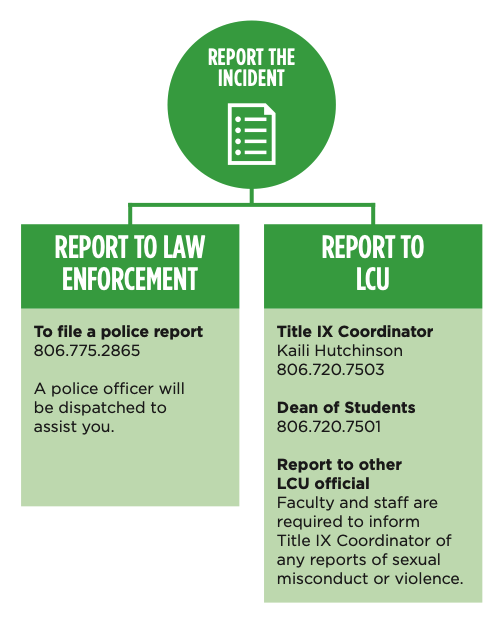 Flow for Report the Incident, outlined below